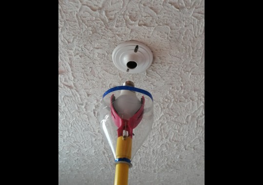 Imagen de cambiador de focos y recolector de frutos